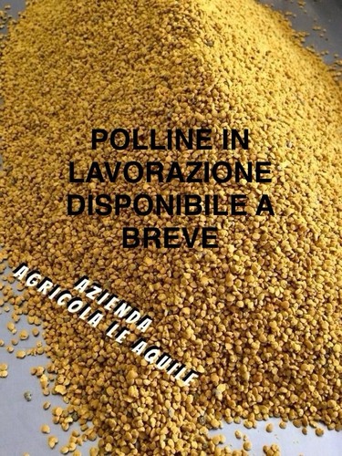 Polline api castagno - di,