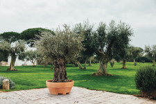 Vaso URSUS 120 (120 x 60H) in