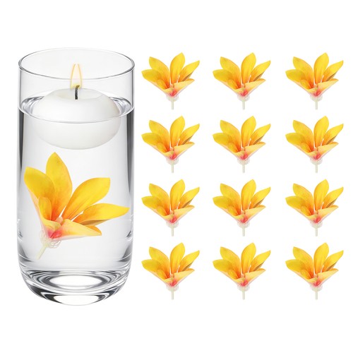 Per magnolia fiori - 12,