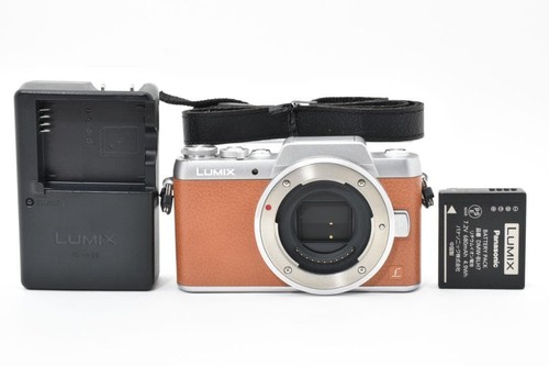 Ecc corpo fotocamera - [ecc+5],