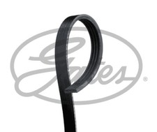 GATES 4PK1003 CINGHIA