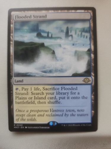 Flooded strand 0220 mh3 modern - mh3,