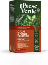 Concime Piante Verdi Tropicali