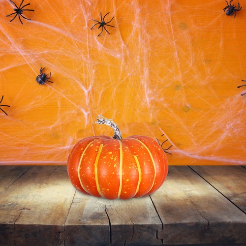 Decorazioni per feste - decorazioni,