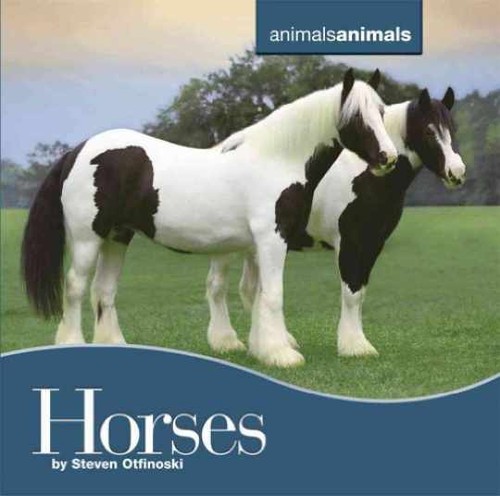 Horses - , animals)