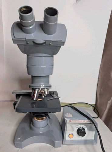 American optical spencer - optical,