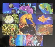 Serie: L'ATOLLO E I SUOI