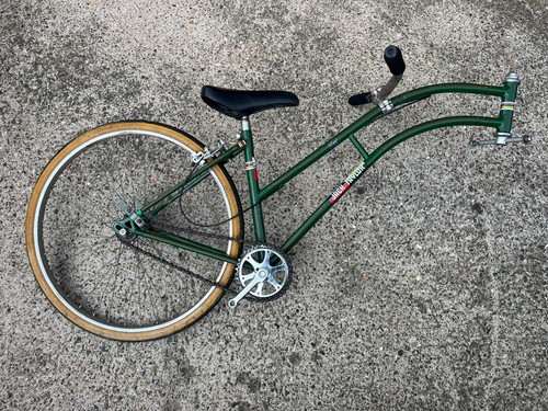 Bicicletta rimorchio per