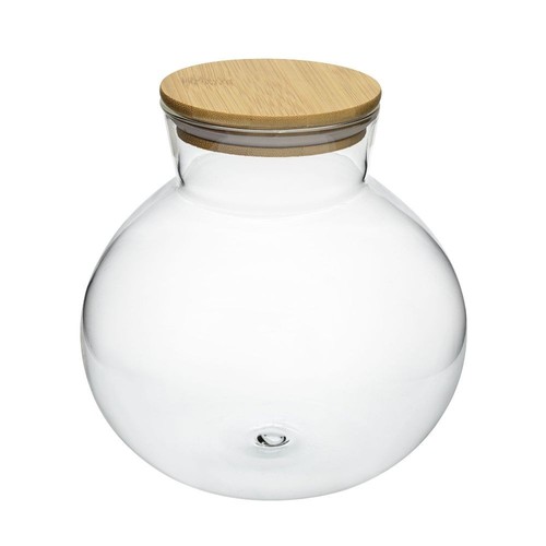 Terrario bottle garden - bottle,