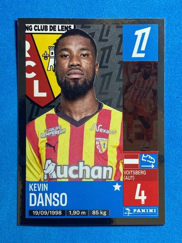 Figurine panini sticker - figurine,