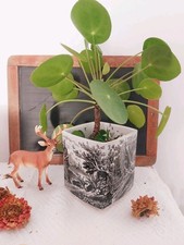 Zuccheriera o teiera Villeroy