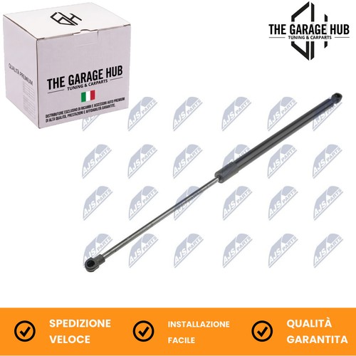 Coppia molle gas - molle, a