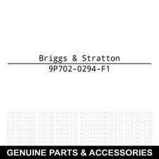 Briggs & Stratton