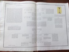 Cesarini di Roma da Litta, Famiglie celebri italiane