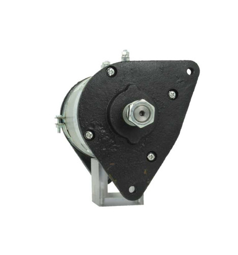 Dynastarter per albin bcs - dynastarter,