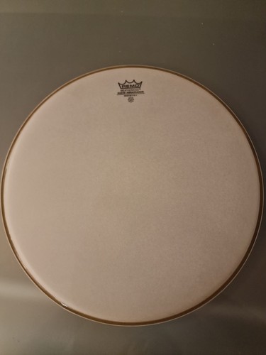 Remo suede ambassador - remo,