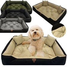Cuccia per cani - ,