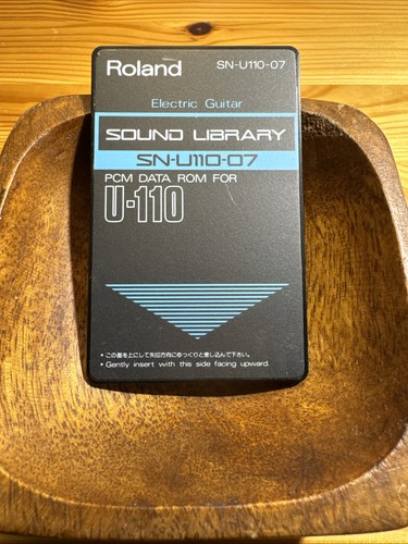 Roland u110 chitarra - roland, sn-u110-07
