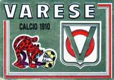 Scudetto Oro Serie B Varese N