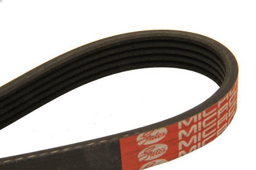 Cinghia poly dayco 5pk1572 - cinghia, poly-v