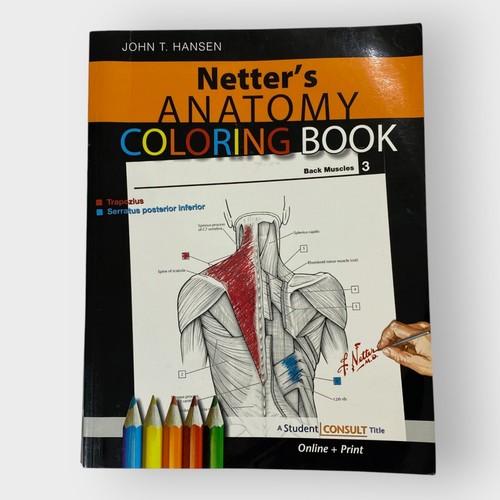 Netters anatomy coloring book - anatomy,