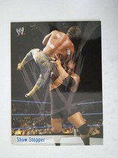 CARD WWE WORLD WRESTLING RAW 2004 SHOW STOPPER n 070 OTTIMA