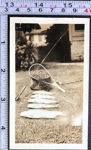 Rete pesca mano - pesca,