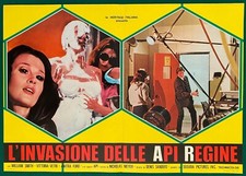 LOTTO 6 FOTOBUSTE L’INVASIONE DELLE API REGINE INVASION OF THE BEE GIRLS HORROR