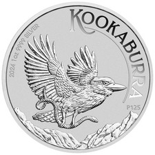 Moneta da 1 dollaro 2024