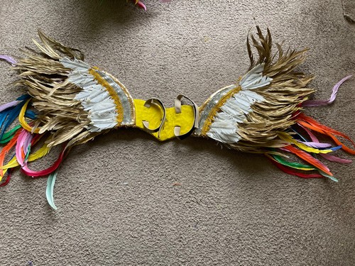 Costume brasiliano danza samba