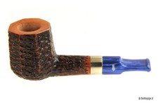 Pipa Santambrogio rusticata -