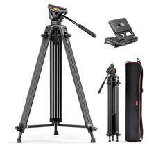 Coman Treppiede Video