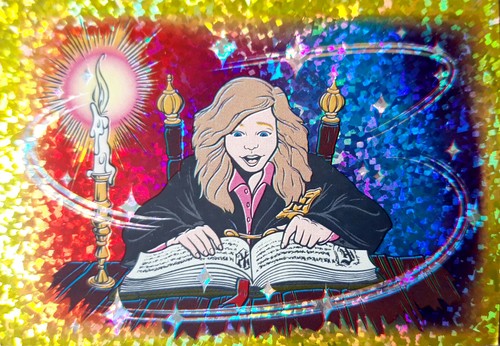 Harry potter sticker album - potter,