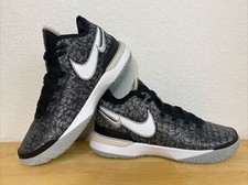 Nike Zoom Lebron (James) NXXT