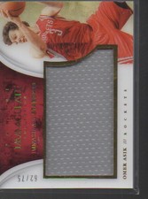 OMER ASIK 2013-14 PANINI