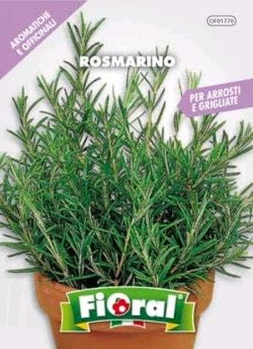 Sementi piante aromatiche e - piante,