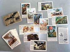 52 Immagini Da Collezione