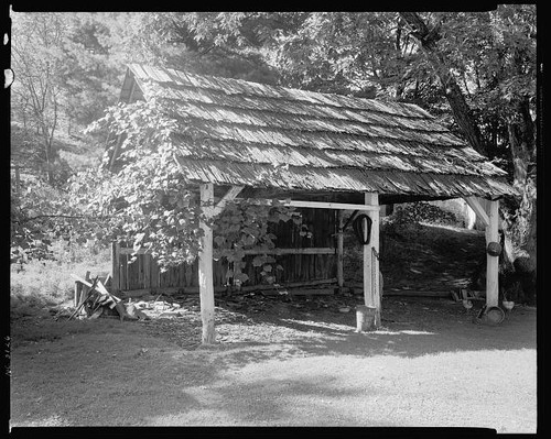Foto casa tessitura albero - casa,
