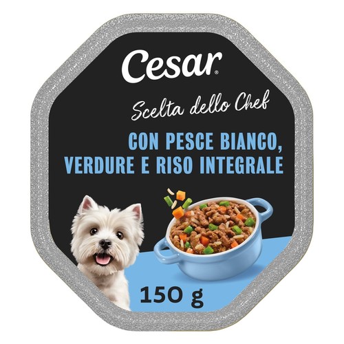 Cesar scelta dello - cesar, unità