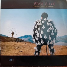 Pink Floyd - Delicate Sound Of Thunder (2xLP, Album, Gat)