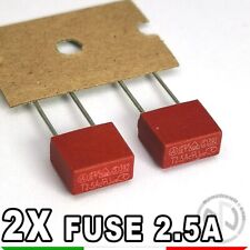 2X FUSIBILI 2.5A 250V Fusibile 392 Rettangolare