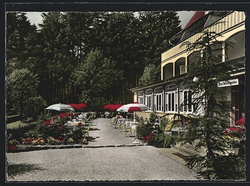 Hahnenklee oberharz hotel - ak, hahnenklee/oberharz,