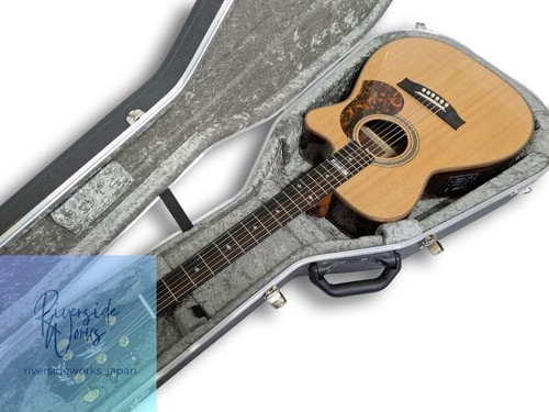 Chitarra acustica elettrica