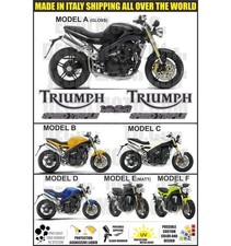 ADESIVI 1050 SPEED TRIPLE 2005