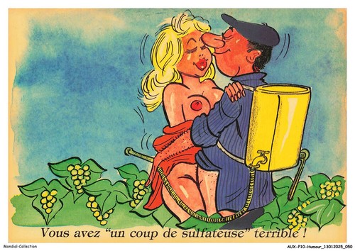 Auxp10 0629 umorismo avete - -,