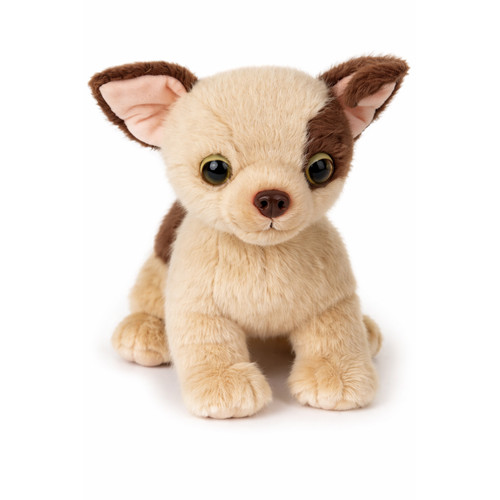 Peluche chiwawa pupazzo - peluche,