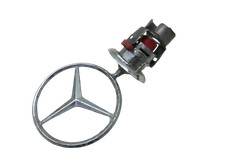 Emblema Segno Logo per