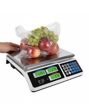 Bilancia Elettronica