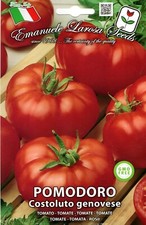 500 Semi / Seeds POMODORO