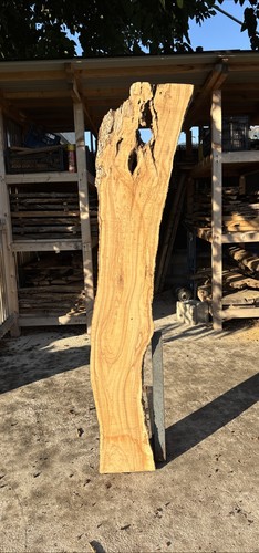 Tavola legno ulivo - tavola, di